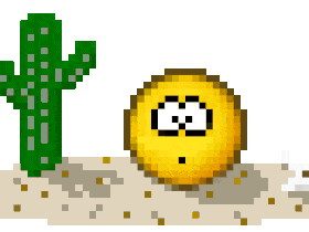 tumbleweed rolling by